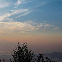 silencewarm Album Art